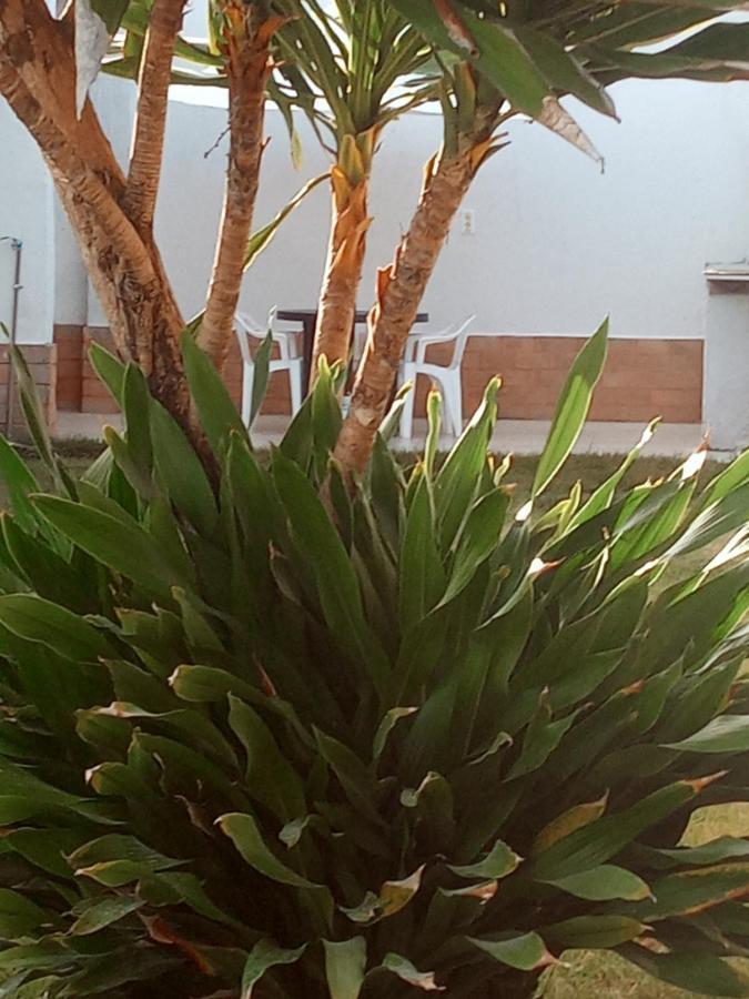Casa Sol Nascente Villa Barra de Jacuípe Exterior foto